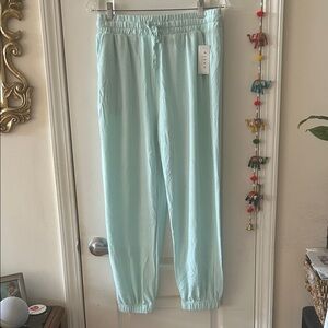 Risen Jersey Drawstring Jogger Pants in Light Aqua